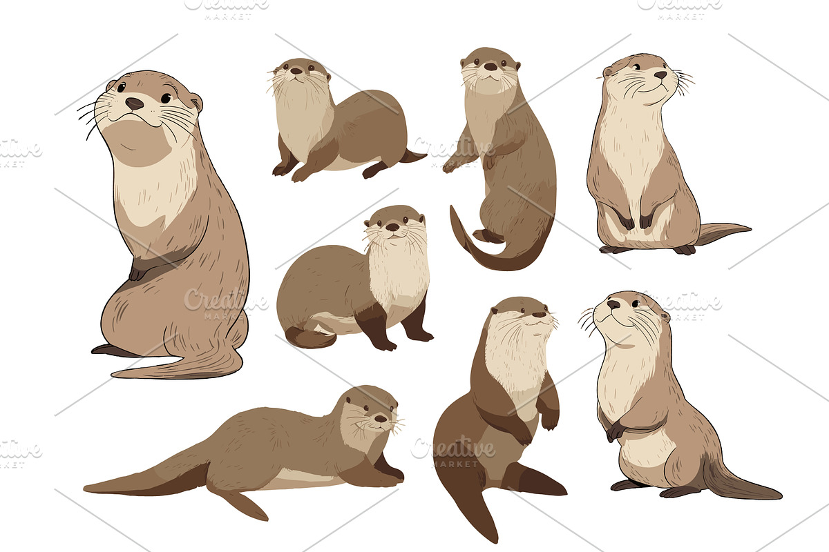 Brown river otter characters cartoon, an Animal Illustration by Onyx
