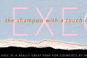 Exec, a Sans Serif Font by Wiescher-Design (Thumbnail 10 of 12)