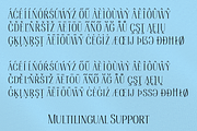Bonheur Serif, a Serif Font by EW Type Foundry (Thumbnail 9 of 10)