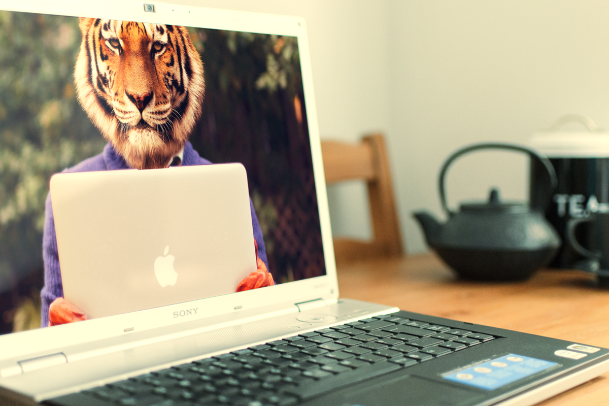 Sony Vaio HD Display Mockup, a Product Mockup by Nuff (Photo 3 of 4)