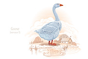 Farm birds set, an Animal Illustration by Countryside life (Thumbnail 3 of 12)