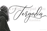 Camelia Calligraphy Modern, a Script Font by Teweka (Thumbnail 6 of 11)