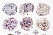 Lilac Purple Watercolor Flowers, an Illustration by May • SHO (Thumbnail 5 of 13)