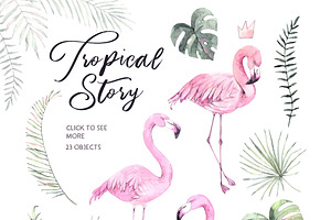 Tropical Story. All About Flamingo