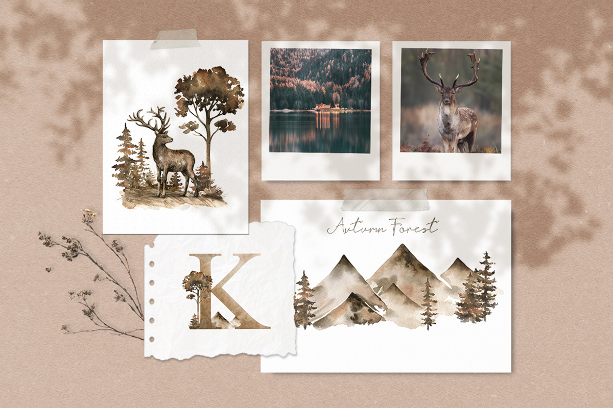 Autumn Forest. Watercolor set, an Animal Illustration by Kreker Kate (Photo 2 of 9)