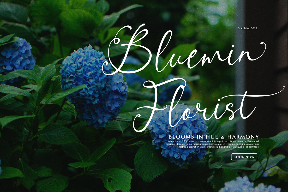 Alveykina | Beauty Handwritten Font, a Script Font by gracetype_studio (Photo 3 of 12)
