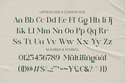 Eden Meadow - Stylish Serif Font, a Serif Font by RagamKata (Thumbnail 11 of 11)