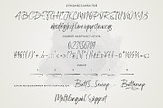 Bluegold | Modern Calligraphy, a Handwritten Font by Lemonthe (Thumbnail 6 of 7)