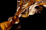 Leaf: 65 Metal Leaf Shapes, an Object Graphic by RuleByArt (Thumbnail 13 of 19)