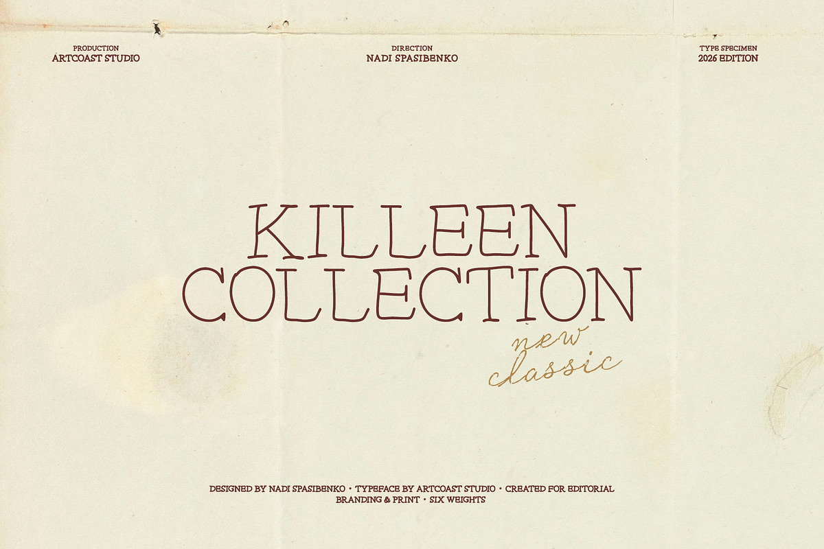 Killeen Font Family, a Serif Font by nadispasibenko (Photo 12 of 12)