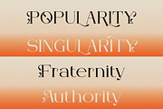 Arleon Domenk Display Elegant Serif, a Serif Font by Denustudios (Thumbnail 5 of 15)
