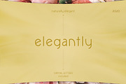 Elegantly - sans elegant font, a Font by DanieleFranchi (Thumbnail 1 of 13)