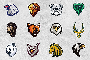 64 ANIMAL HEAD SPORT MASCOT DESIGNS