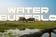 Cranial Bold Futuristic Display Font, a Sans Serif Font by Claymoon Lab (Thumbnail 4 of 9)