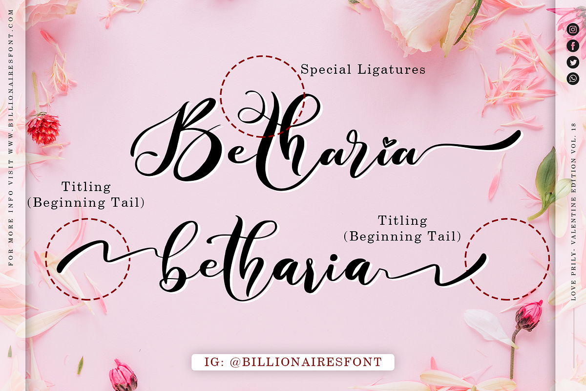 Love Prilly // Elegant Script Font, a Script Font by Aldedesign (Photo 3 of 12)