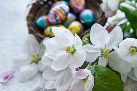Colorful Easter eggs on concrete background, a Holiday Photo by Olena Rudo