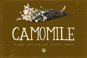Camomile, a Serif Font by Webvilla Studio (Thumbnail 1 of 5)