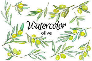 Olive watercolor clipart