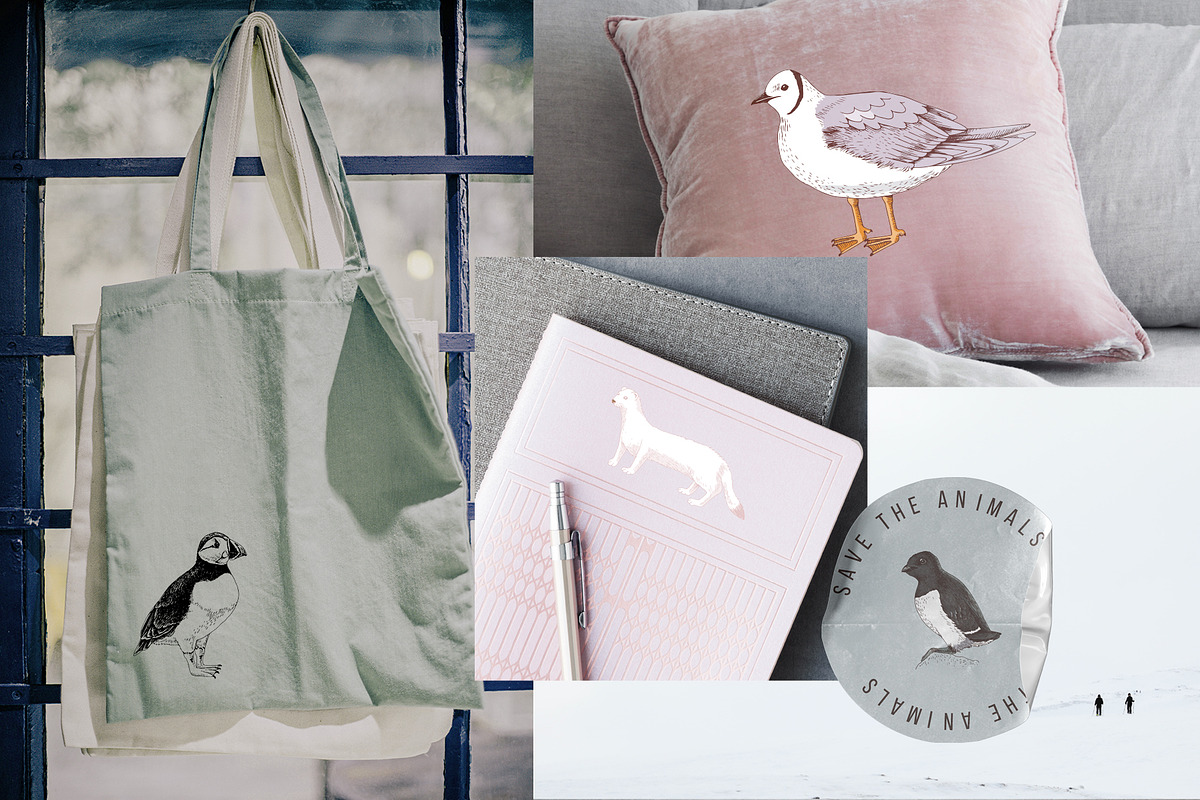 Hand drawn Arctic animals collection, an Animal Illustration by handsketched (Photo 9 of 10)
