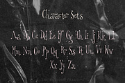 Odd Little Lady Quirky Serif Font, a Serif Font by The October Creative (Thumbnail 3 of 8)