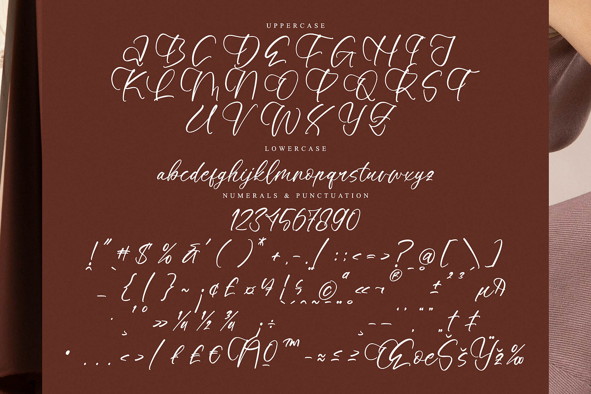 Lively Violet, a Script Font by operatype.co (Photo 13 of 15)