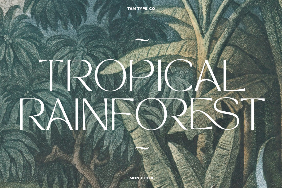 Tan Mon Cheri Font Free Downloadv - UIFreebies