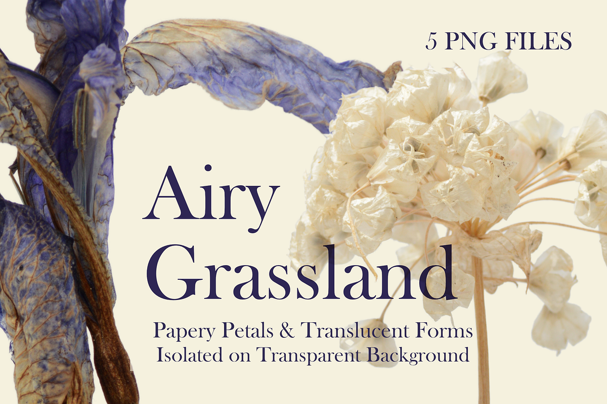 Airy Grassland — Papery Petals & Tra, an Object Graphic by Aga Silva (Photo 6 of 7)