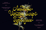 Cavani, a Script Font by Soft Creative (Thumbnail 10 of 13)