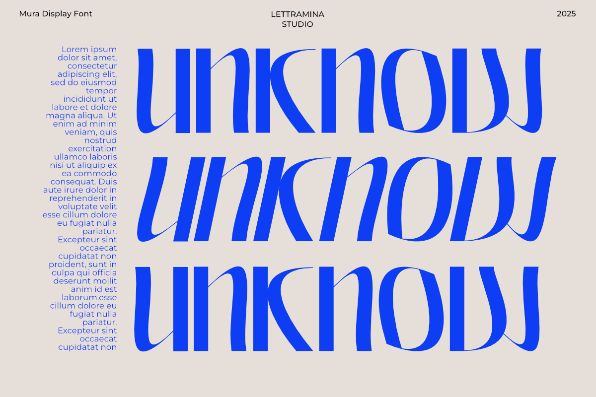 Mura - Modern Display Typeface, a Handwritten Font by Lettramina Studio (Photo 5 of 10)