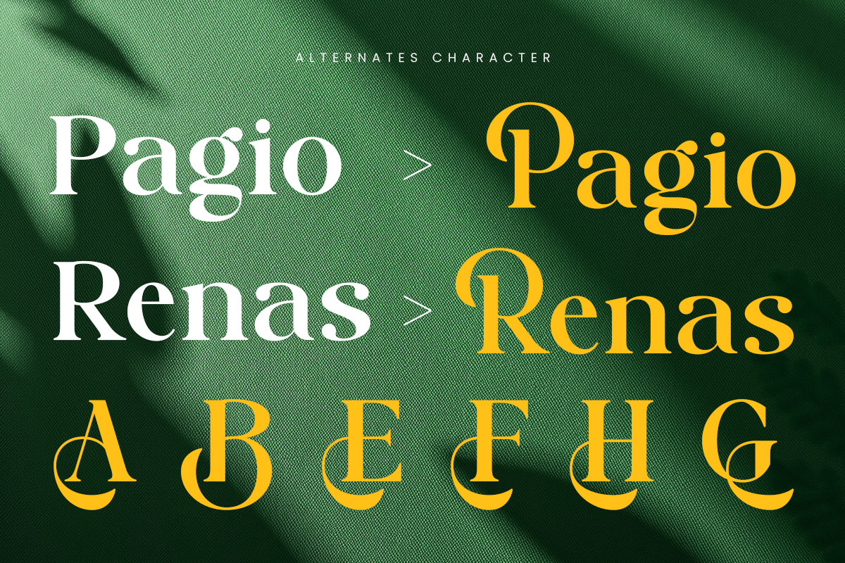 Pagio - Modern Luxury Serif Font, a Serif Font by Muflieart (Photo 3 of 8)