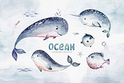 Ocean watercolor set, an Animal Illustration by Peace ART (Thumbnail 3 of 12)