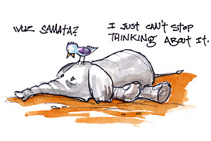 An Elephant Never Forgets