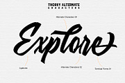 Thorky, a Script Font by Secondivison Supply (Thumbnail 3 of 7)