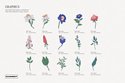 Modern Botanical Pattern and Plants, a Pattern Graphic by likorbut (Thumbnail 11 of 15)