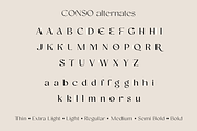 Conso | Font Family, a Sans Serif Font by Larin Type Co. (Thumbnail 15 of 15)