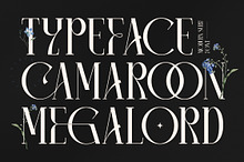 Camaroon Megalord Serif Display Font