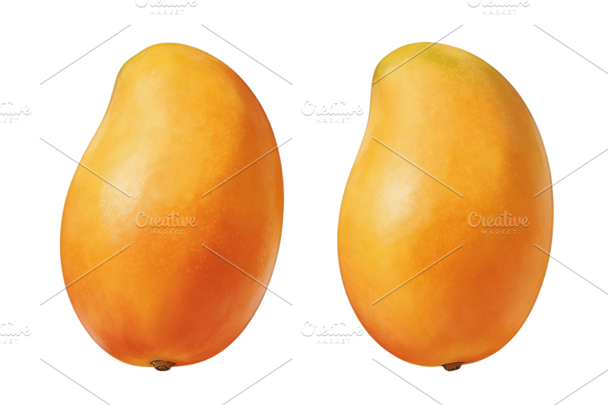 All Fruits Bundle Master Collection, a Food & Drink Photo by FlyeredTemplate (Photo 87 of 130)