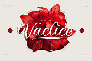 Vaclice Script Font