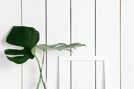 White frame & monstera, an Arts & Entertainment Photo by KateAedon