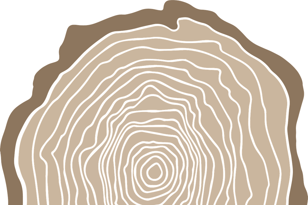 Wood Slice, an Illustration by beingsaradixon (Photo 2 of 2)