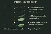 Affinity Flower & Foliage Brushes, a Brush Add-On by The Artifex Forge (Thumbnail 6 of 16)