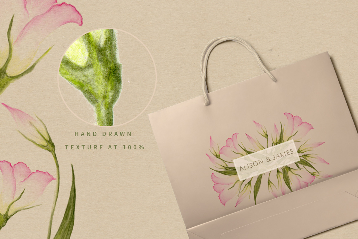 Lisianthus Flowers, an Illustration by Ingrid Marais Design (Photo 2 of 4)