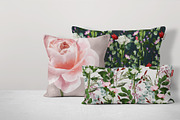 English Garden Watercolour florals, a Decorative Illustration by Katy Clemmans (Thumbnail 10 of 13)