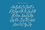 Baterty Spotteam Elegant Brush Font, a Script Font by Letterena Studios Script (Thumbnail 12 of 20)