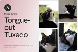 6 Image Bundle: Tongue-out Tuxedo, an Animal Photo by Happiestscone Photography