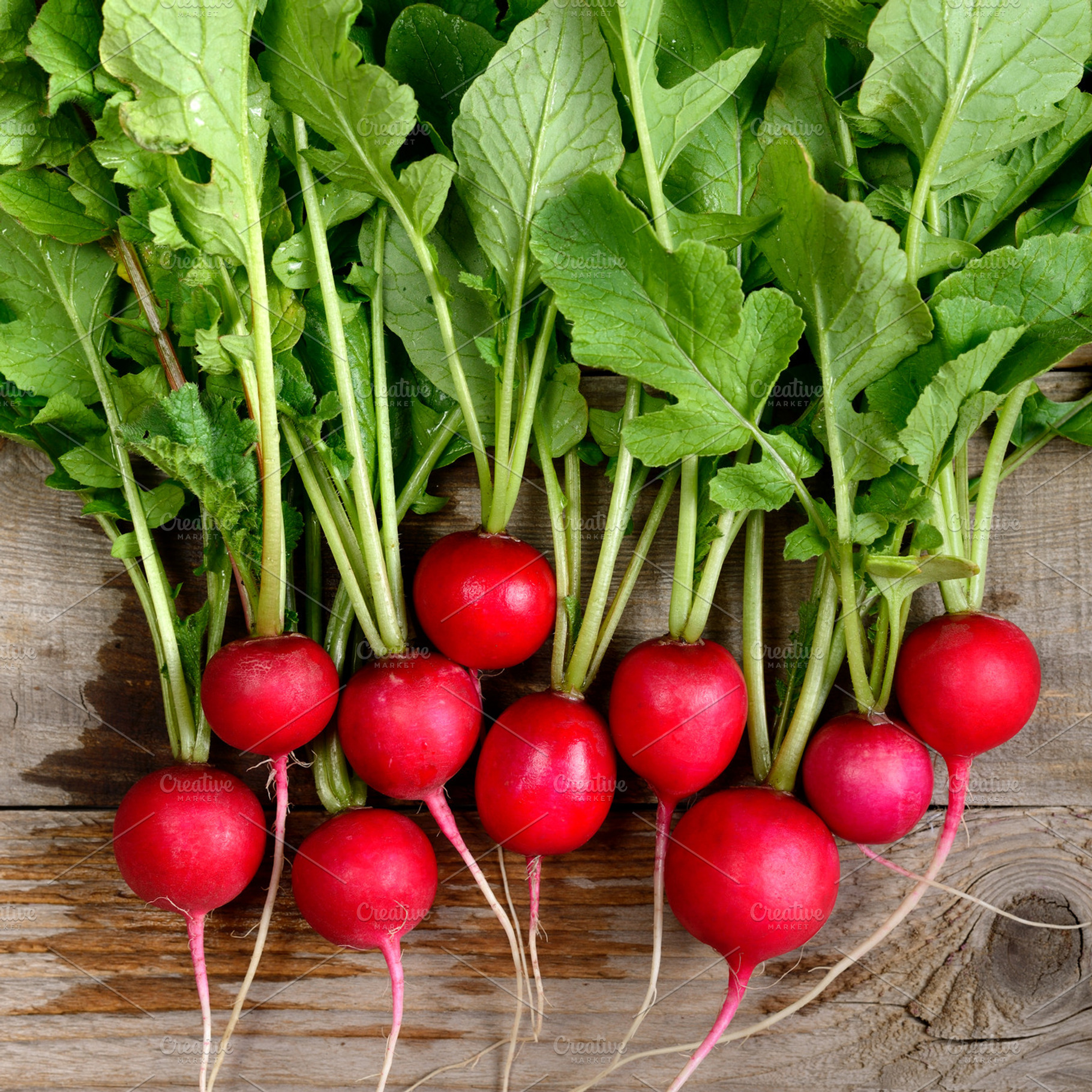 Fresh radishes stock photo containing radish and vegetable