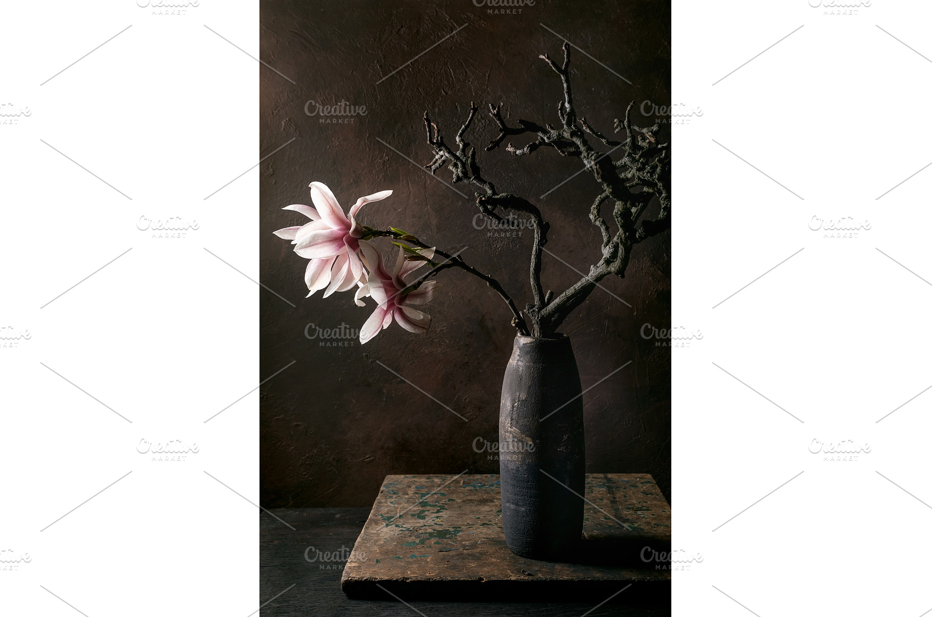 Delicate Magnolia Blooms In Black, a Nature Photo by Natasha Breen