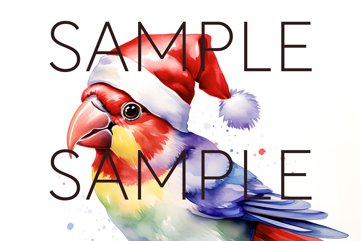 Christmas Australian Native Birds, a Seasonal Illustration by Pawcasso's Portraits (Photo 9 of 9)