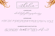 Ithalia, a Script Font by Rotterlab Studio (Thumbnail 7 of 8)