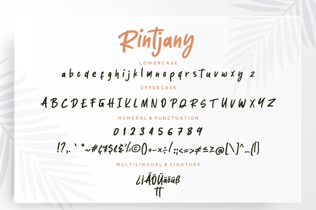 Rintjany Stylish Marker Business preview 7